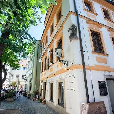 Women's Only - Female Only Prag