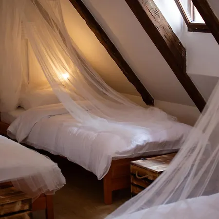 Women's Only - Female Only Hostel