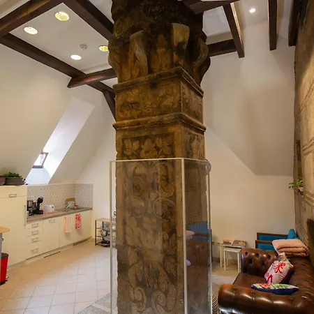 Women's Only - Female Only *