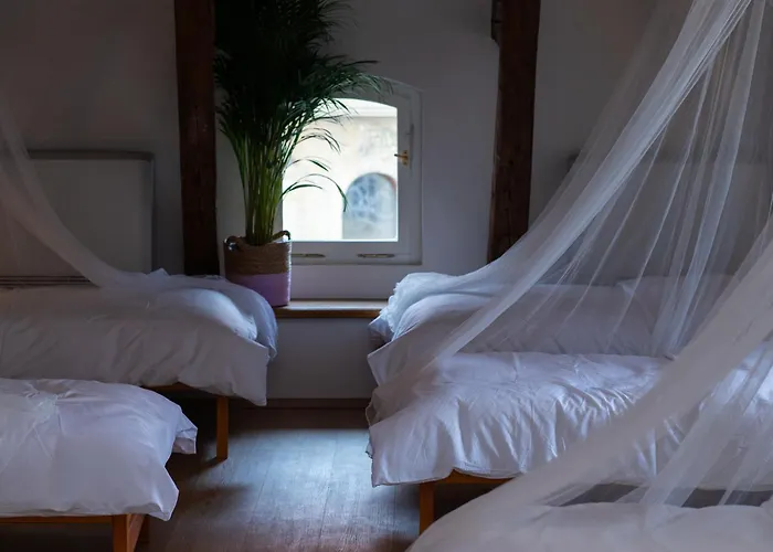 Women's Only - Female Only